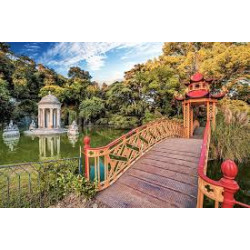 FIORITURA DELLE CAMELIE A VILLA DURAZZO PALLAVICINI E ARENZANO