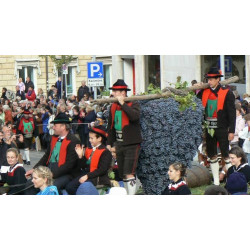 IL FESTIVAL DELL'UVA A MERANO E CASTEL TIROLO - Domenica 18 Ottobre 2026